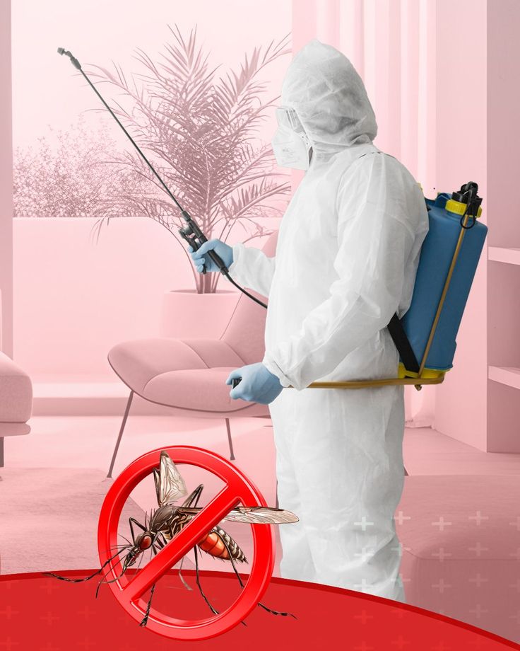 İslahiye Karınca İlaçlama