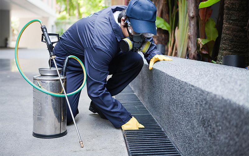 İslahiye Hamam Böceği İlaçlama